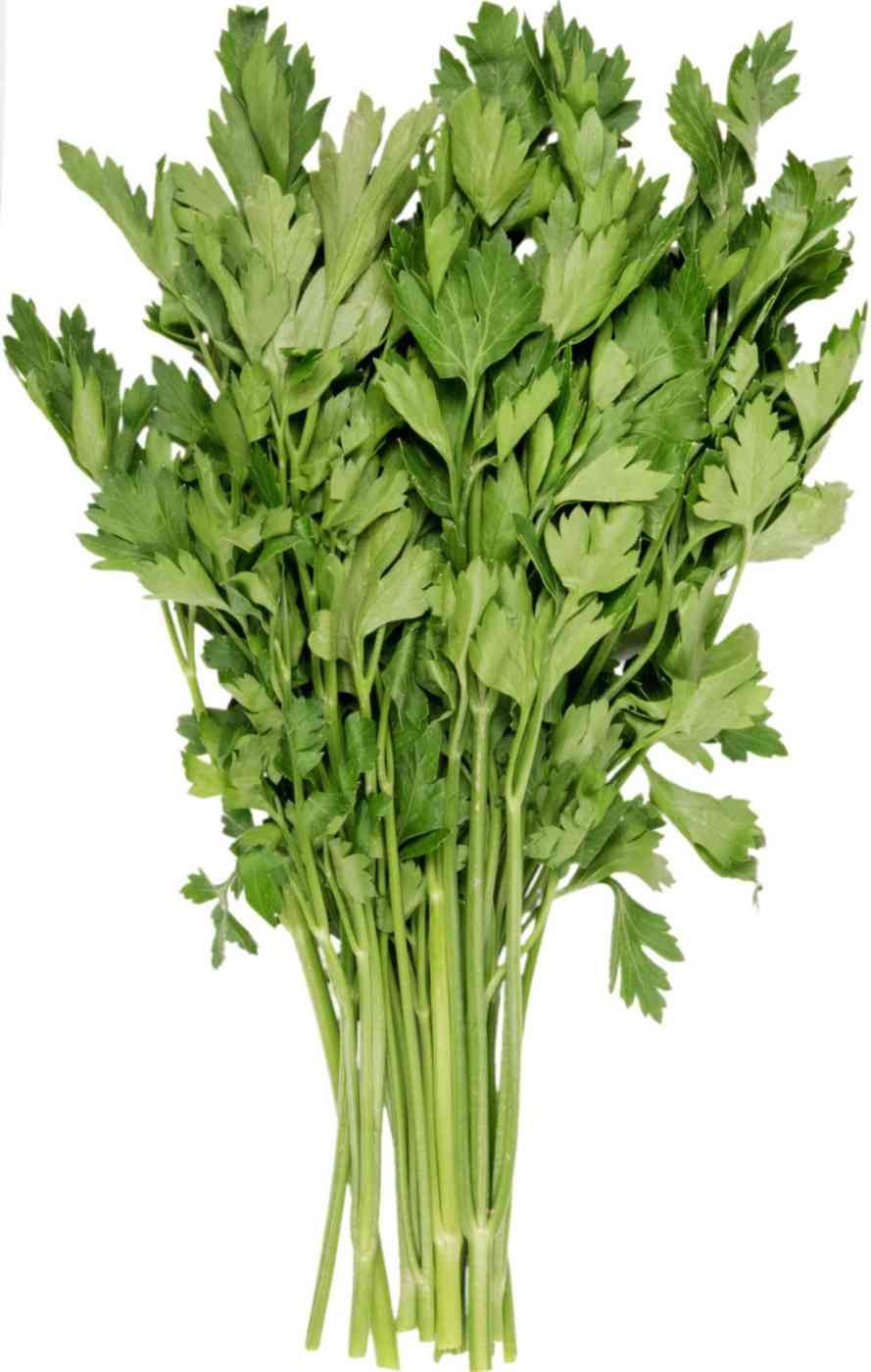 Петрушка 
Петрушка