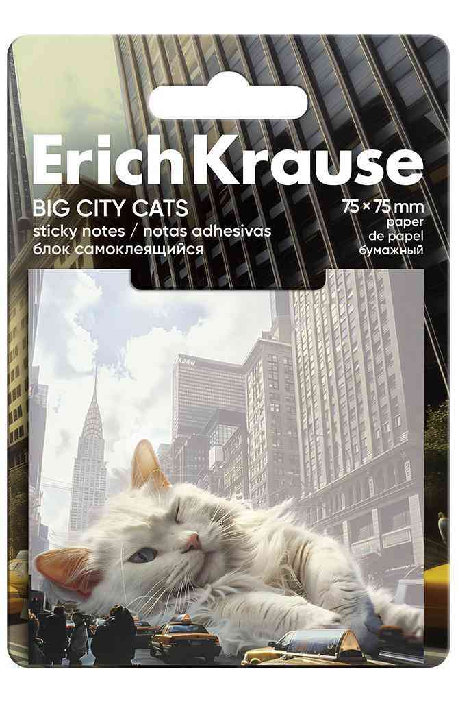 

Блок для записей ErichKrause