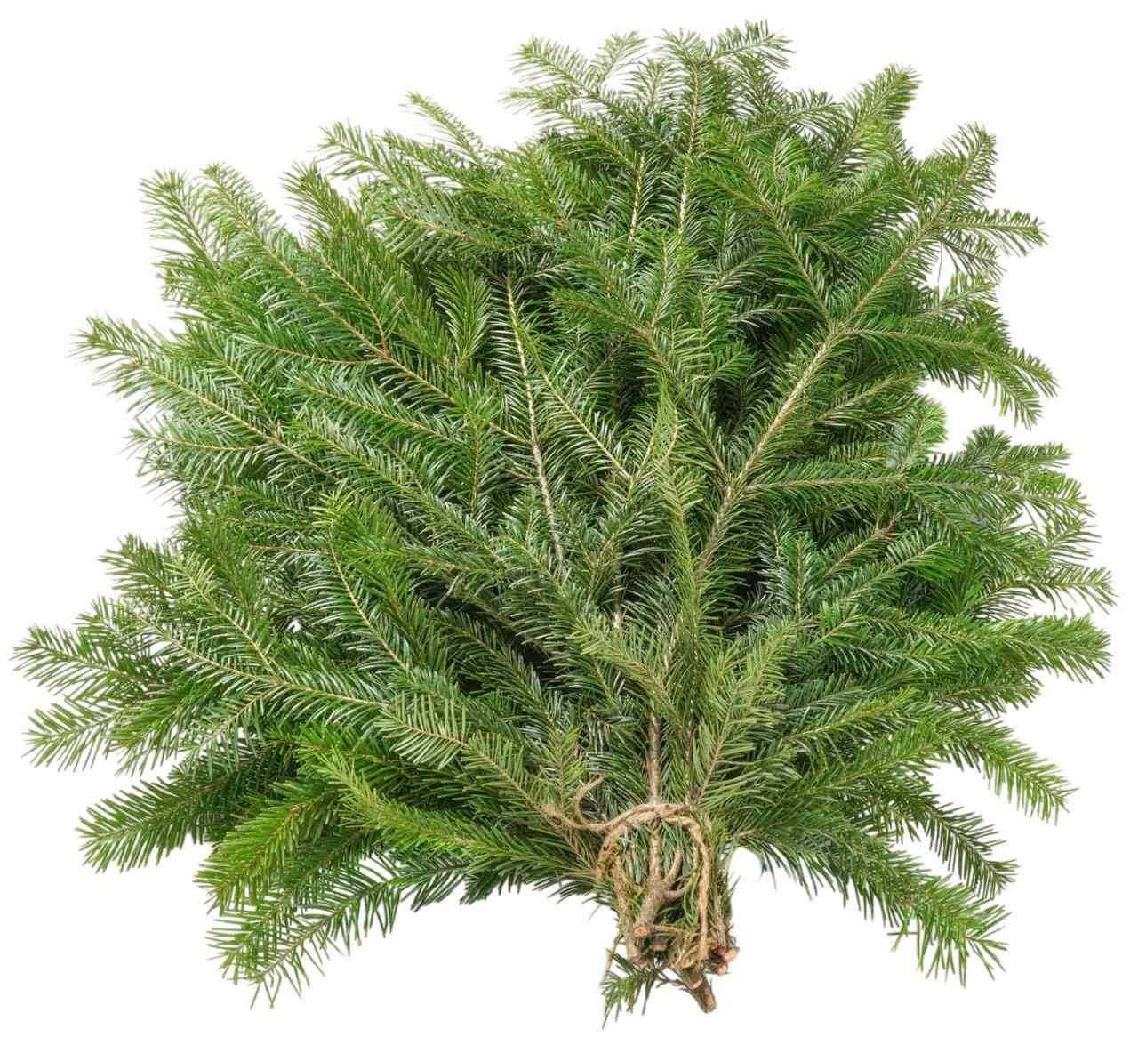 

Букет из 5 веток ели обыкновенной