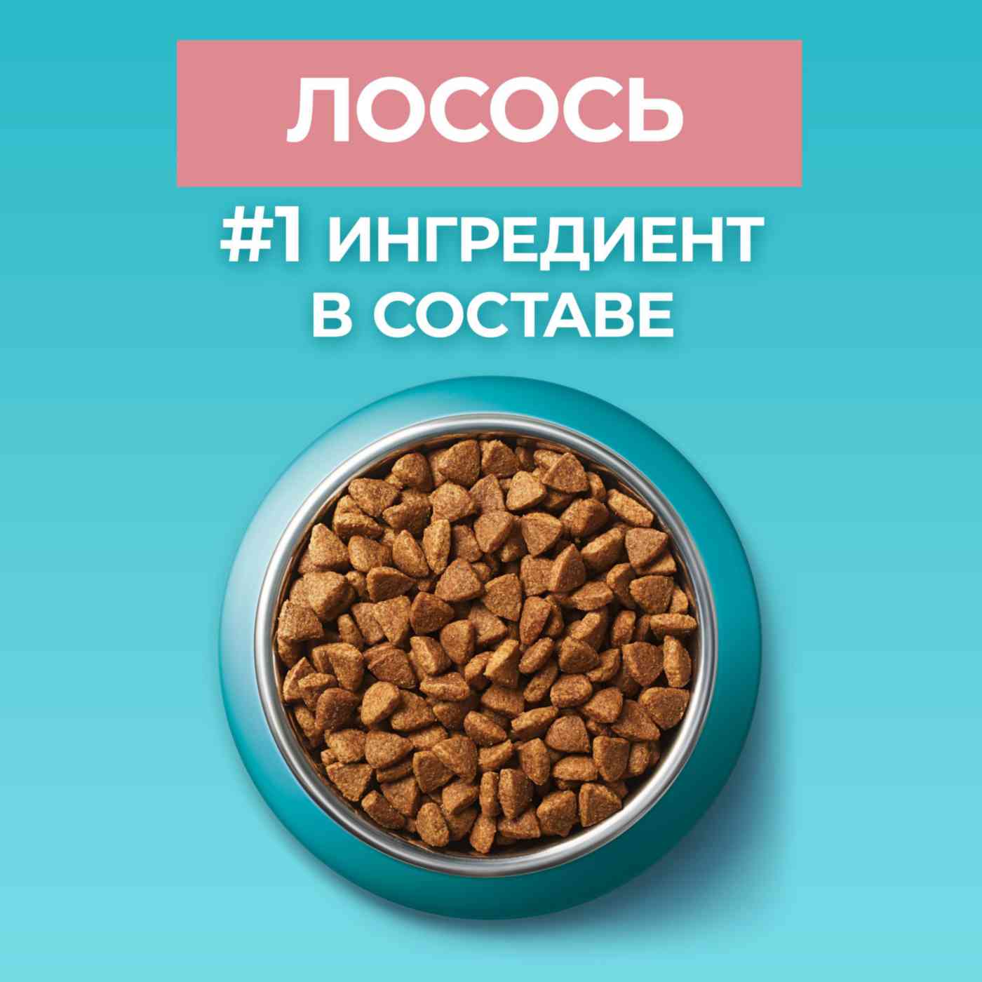 -4