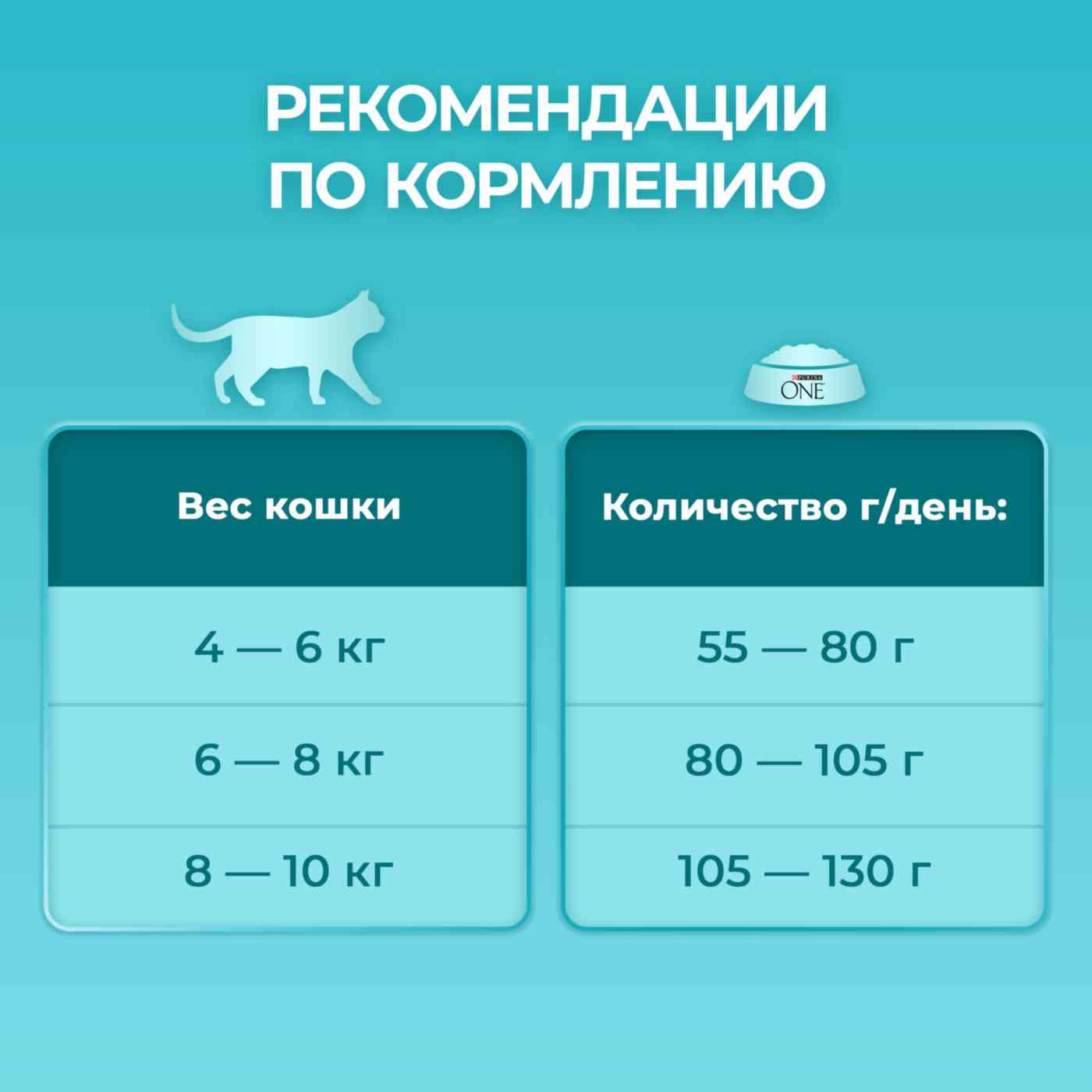 -6