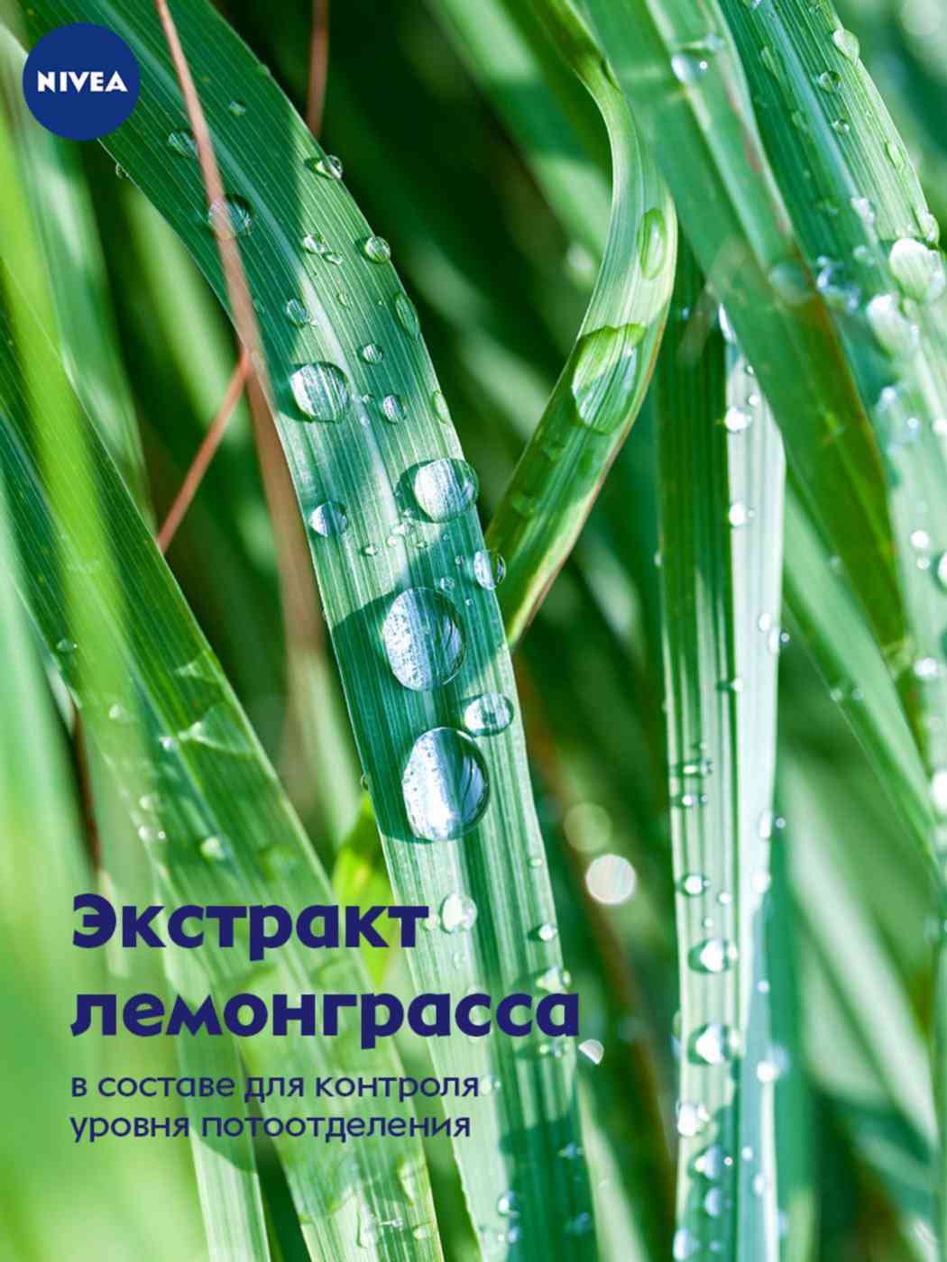 -4