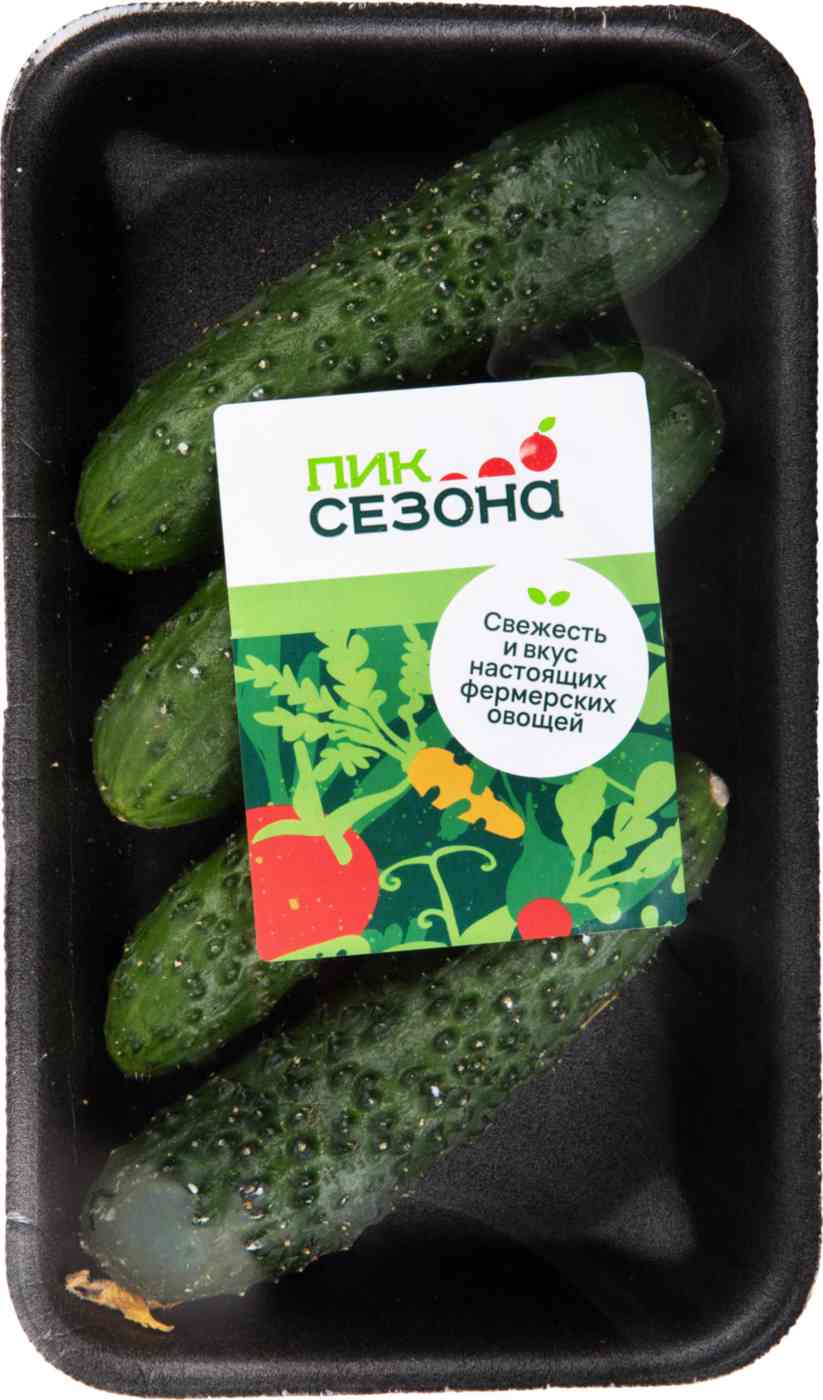 

Огурцы среднеплодные тепличные