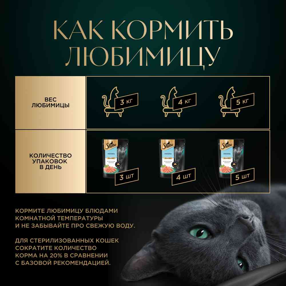 -6