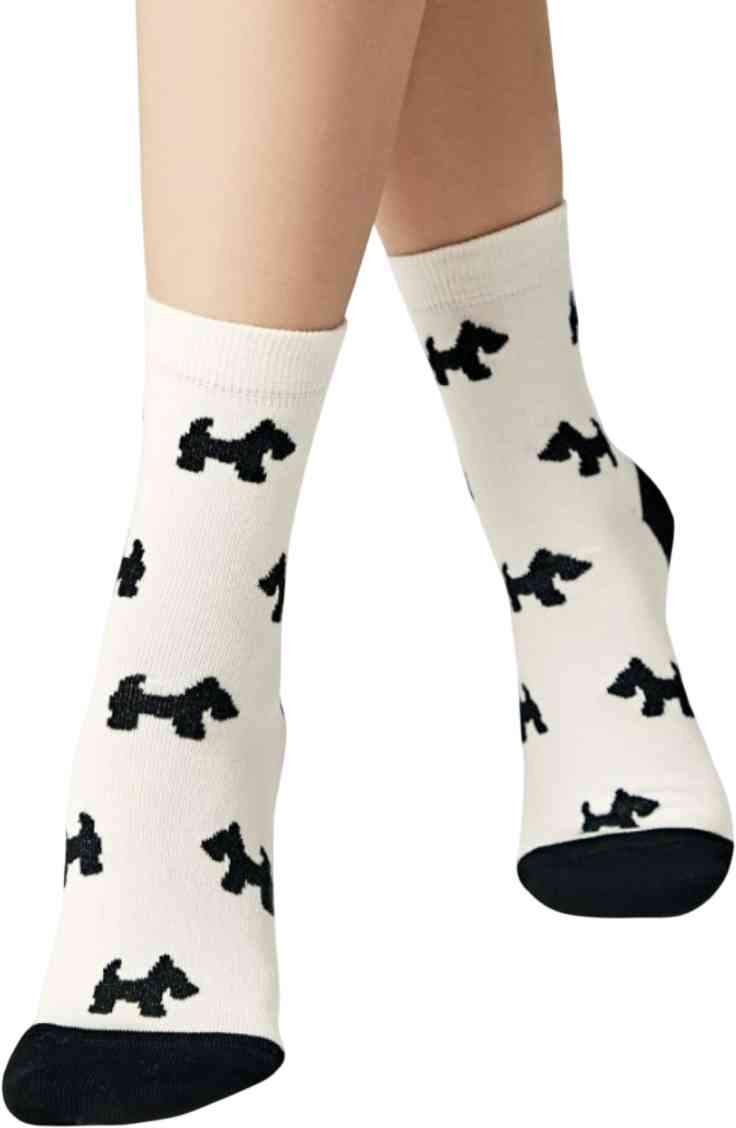 

Носки женские рисунок собачки, цвет молочный