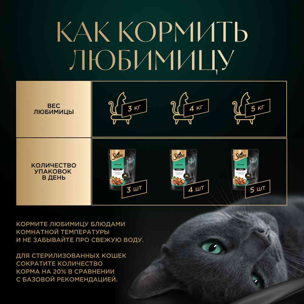 -6