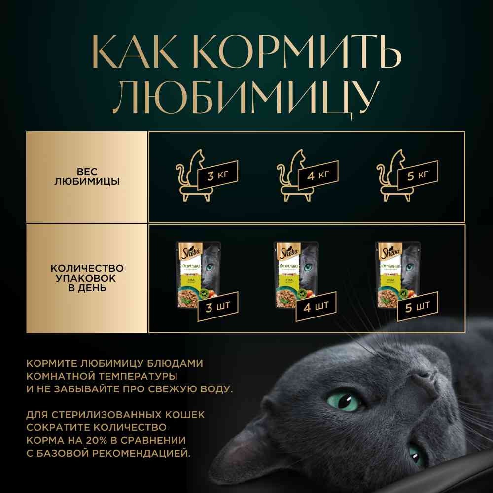 -4
