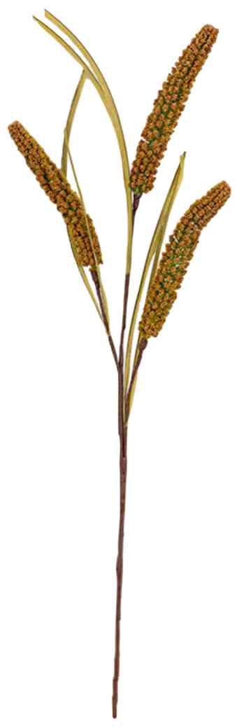 

Ветка искусственная Пшеница