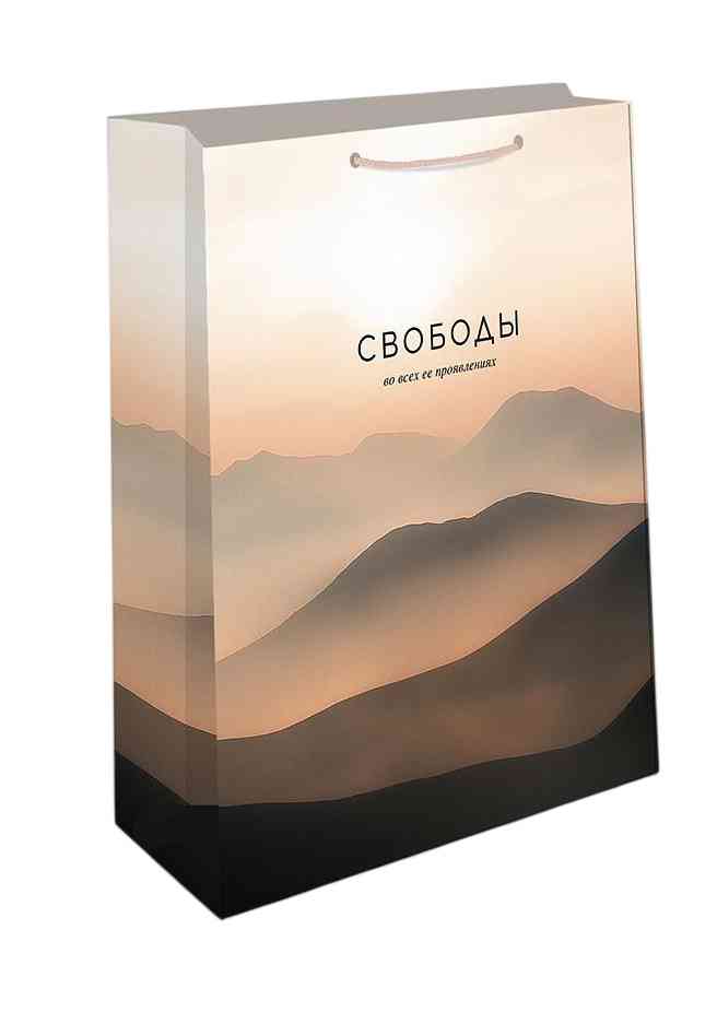 

Пакет подарочный Арт и Дизайн в ассортименте