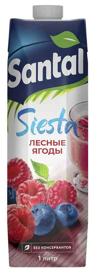 Напиток сокосодержащий Santal Лесные ягоды