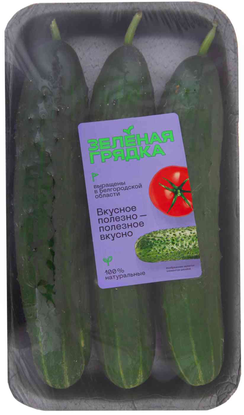 

Огурцы Зеленая грядка Святогор