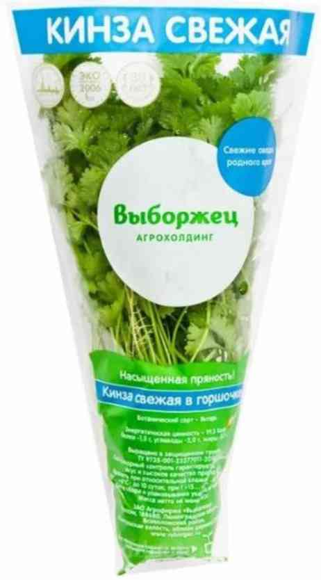 

Кинза Выборжец