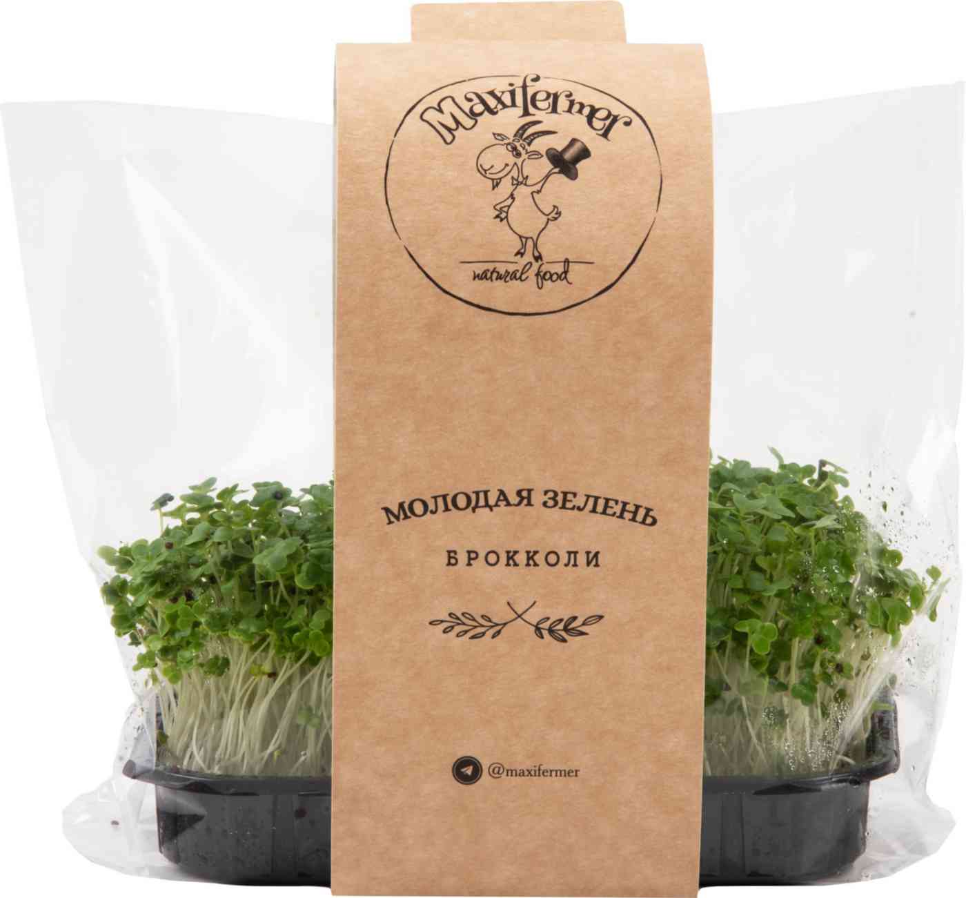 

Микрозелень брокколи