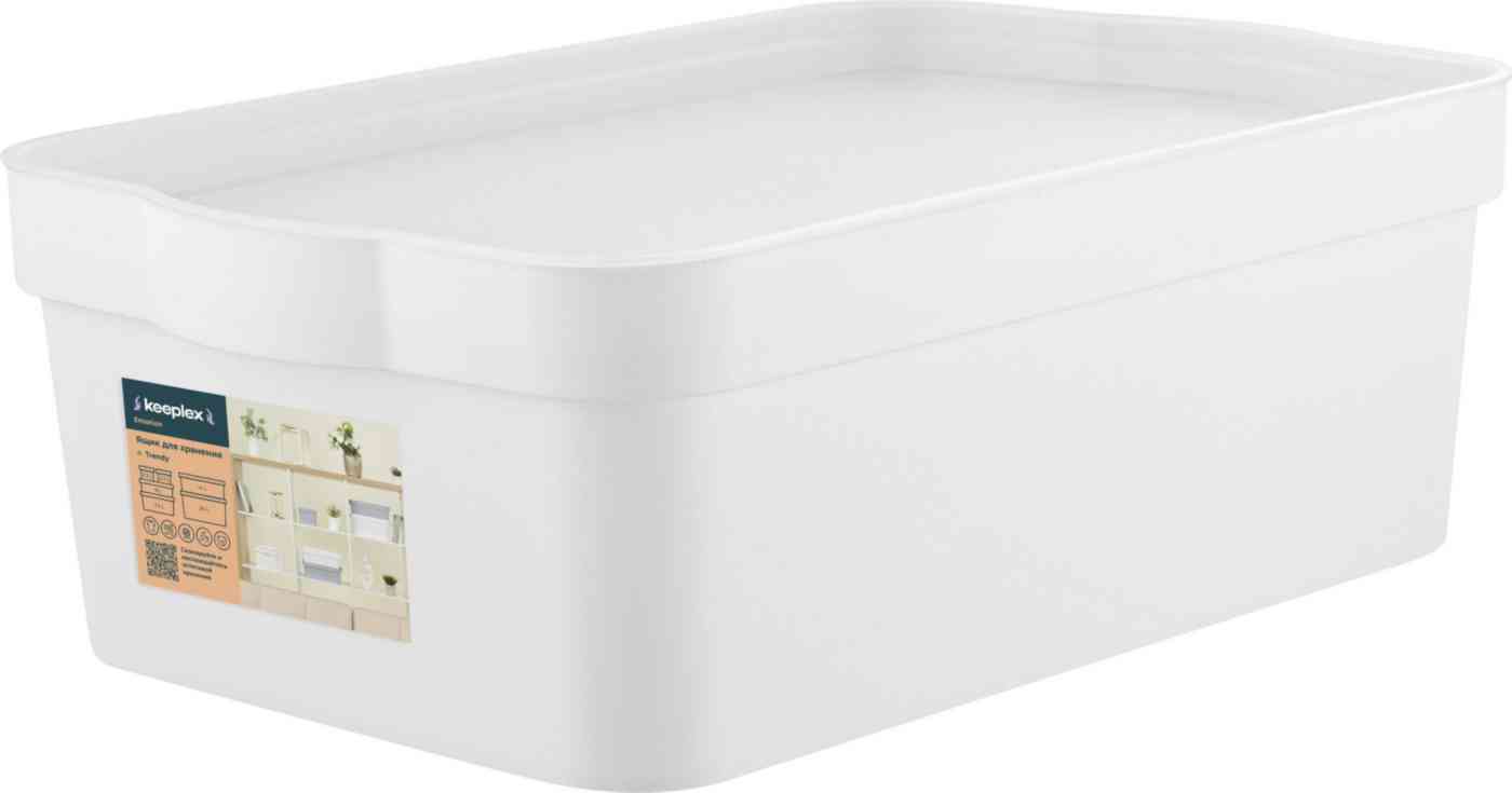 

Ящик для хранения Keeplex Trendy 32х21,1х11 см белый