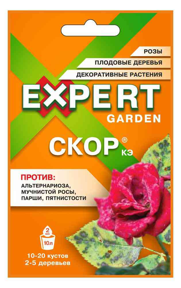 Фунгицид  Expert