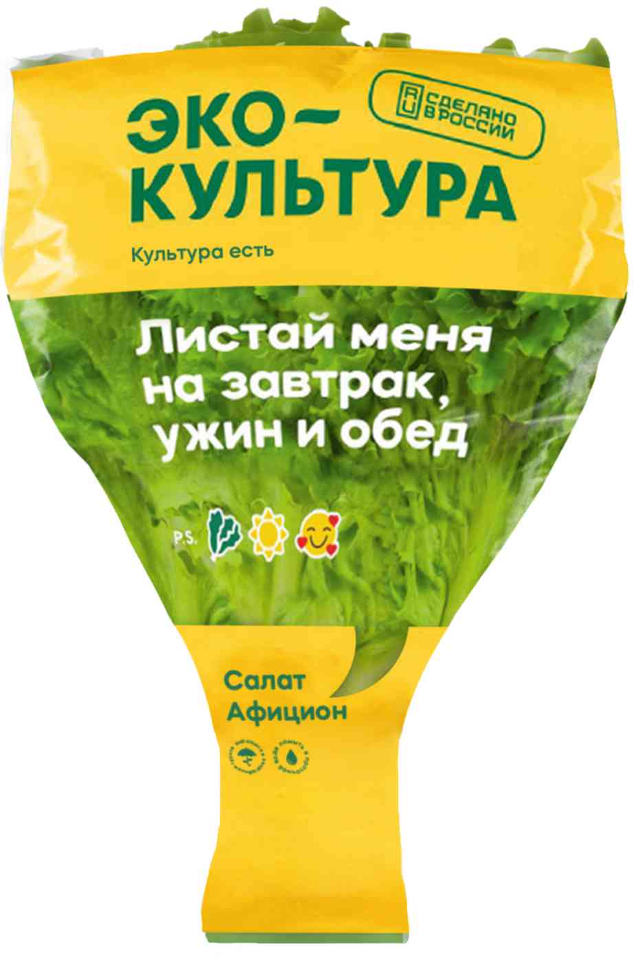 

Салат Афицион ЭкоКультура в горшочке