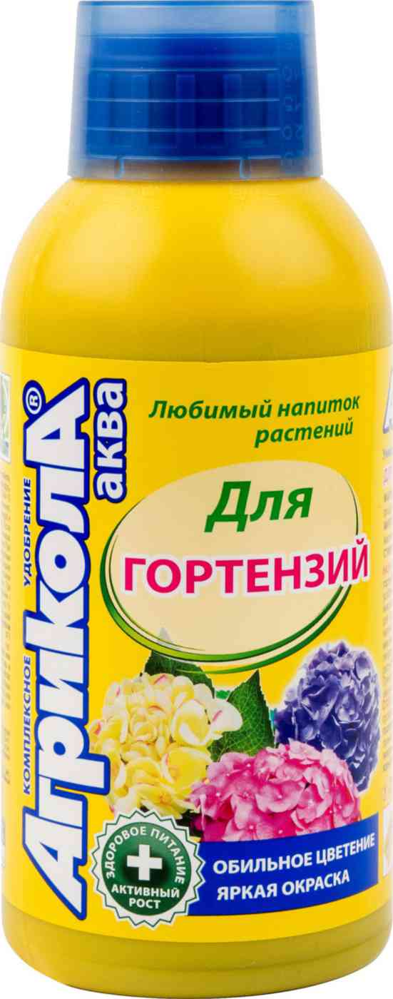 -1