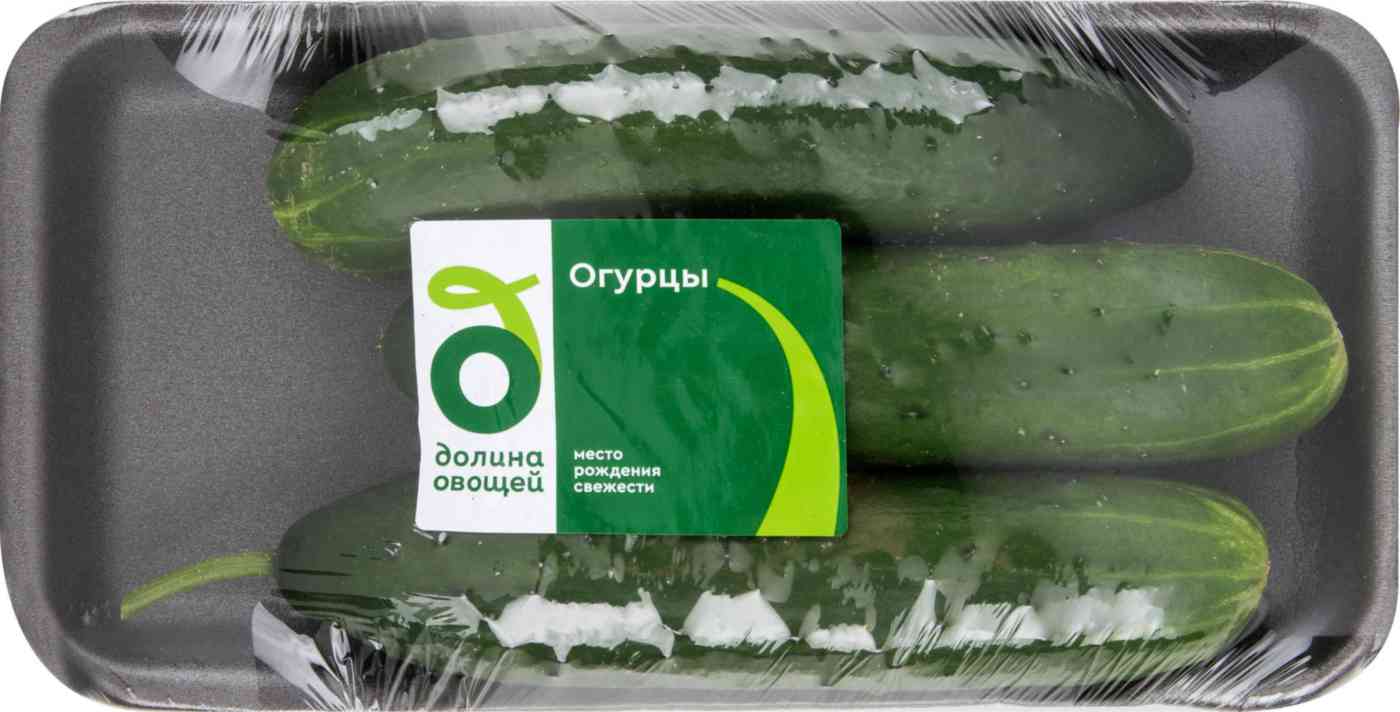 Огурцы среднеплодные колючие Долина овощей