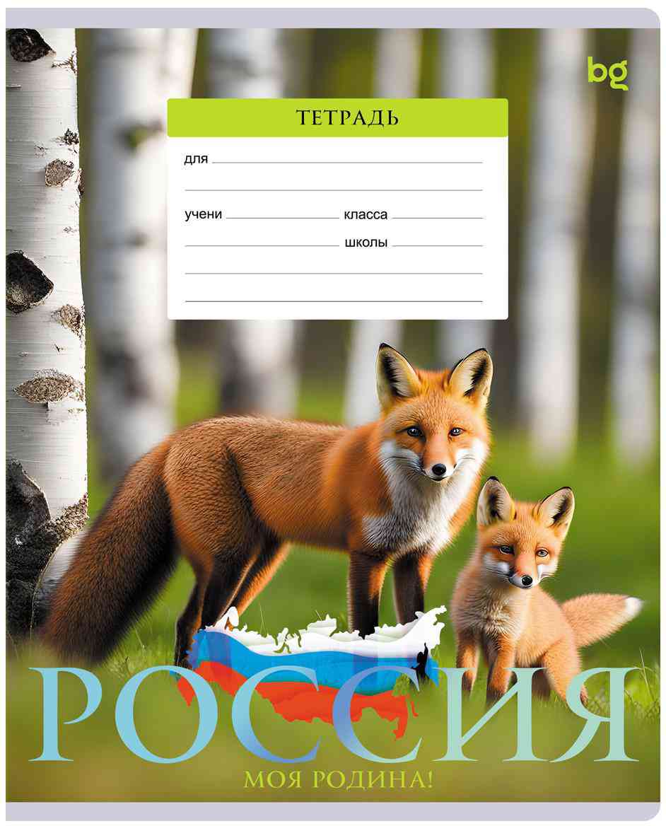 

Тетрадь А5 в клетку BG