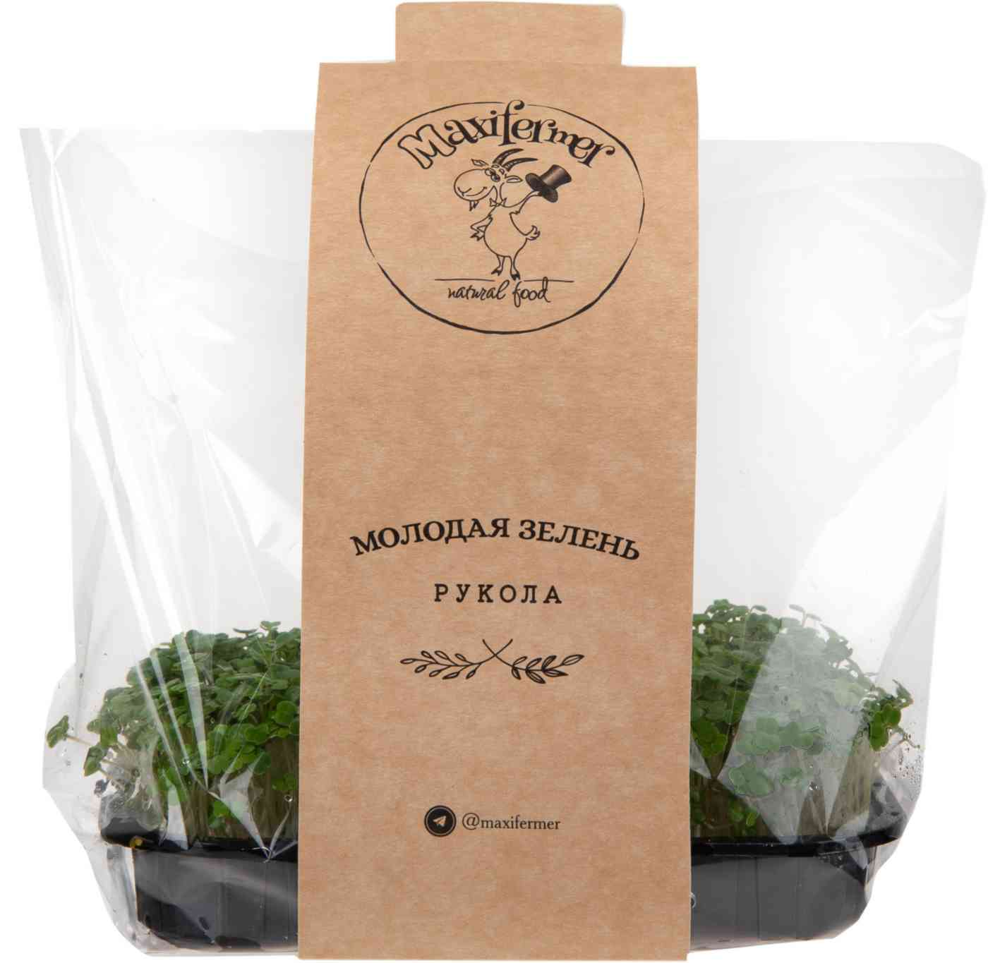 

Микрозелень руколы MaxiFermer Россия