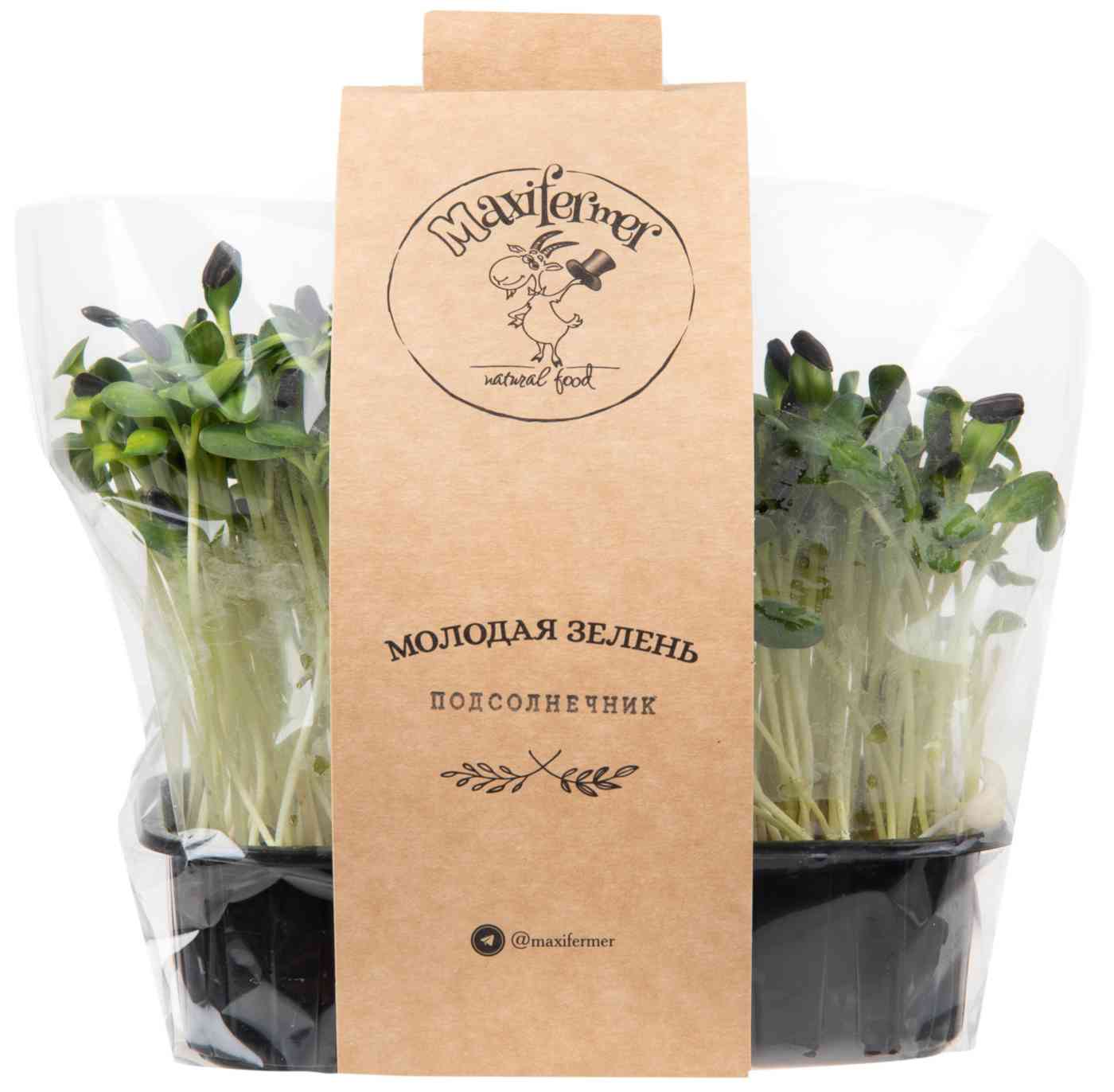 

Микрозелень подсолнечника MaxiFermer