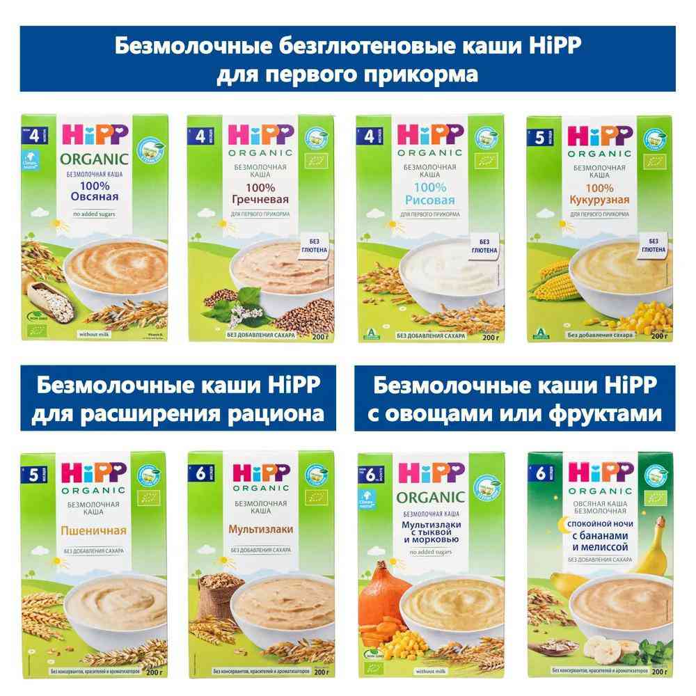 Каша овсяная безмолочная HiPP Organic Спокойной ночи с бананом и мелиссой  6+, 200 г — купить в Москве в интернет-магазине «GLOBUS»