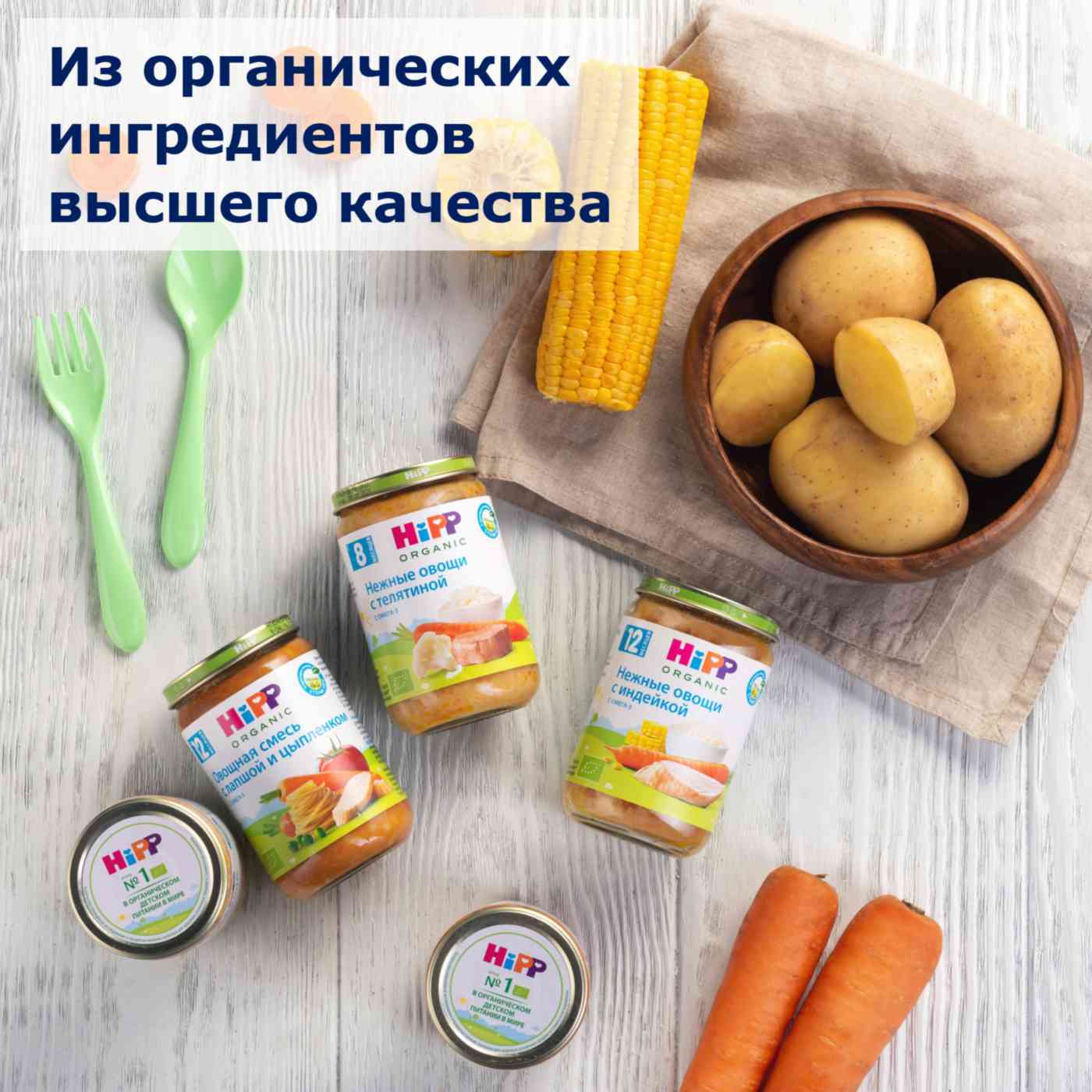 Пюре HiPP Organic Нежные овощи с телятиной, с 8 месяцев, 190 г — купить в  Москве в интернет-магазине «GLOBUS»