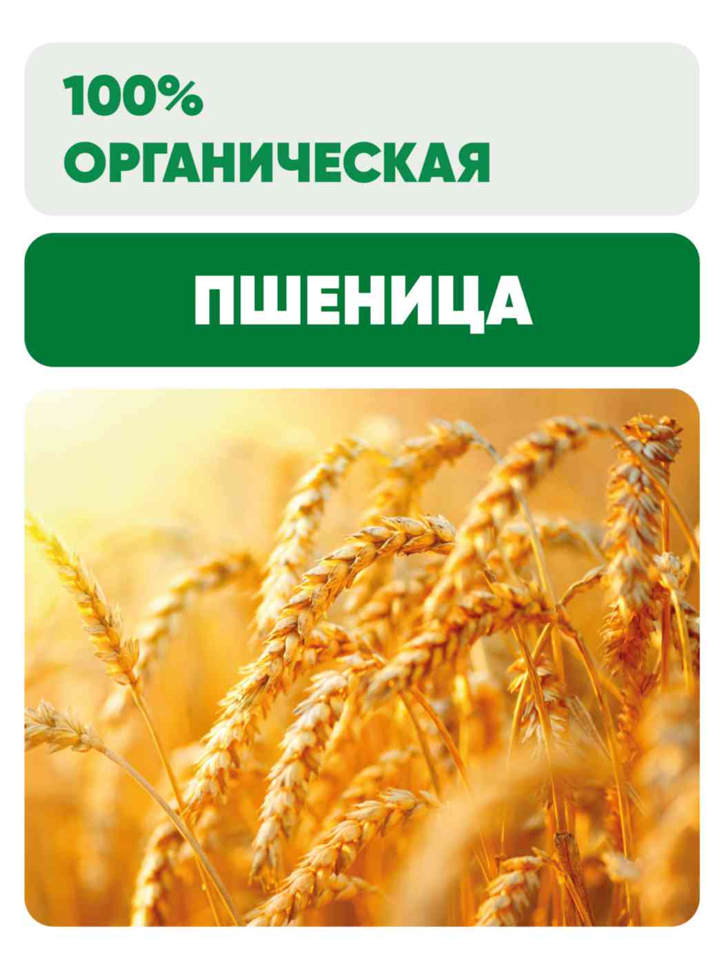 -3