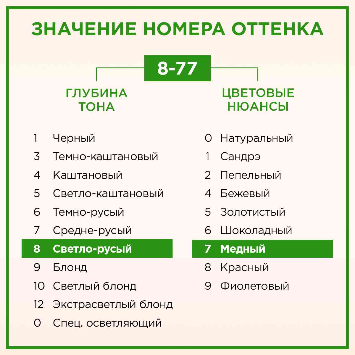 -6