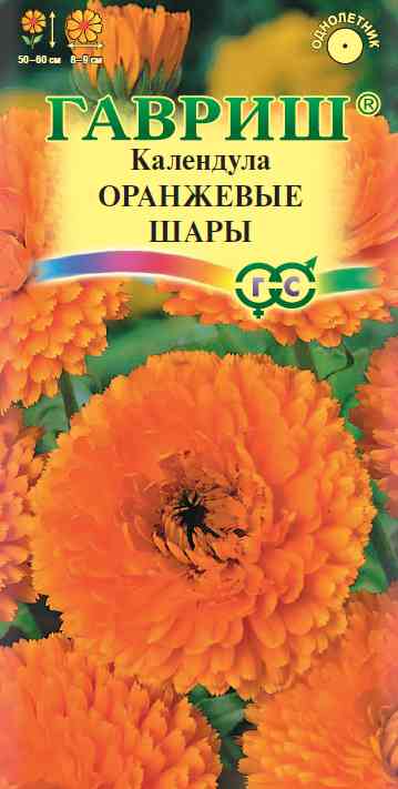 

Семена Гавриш