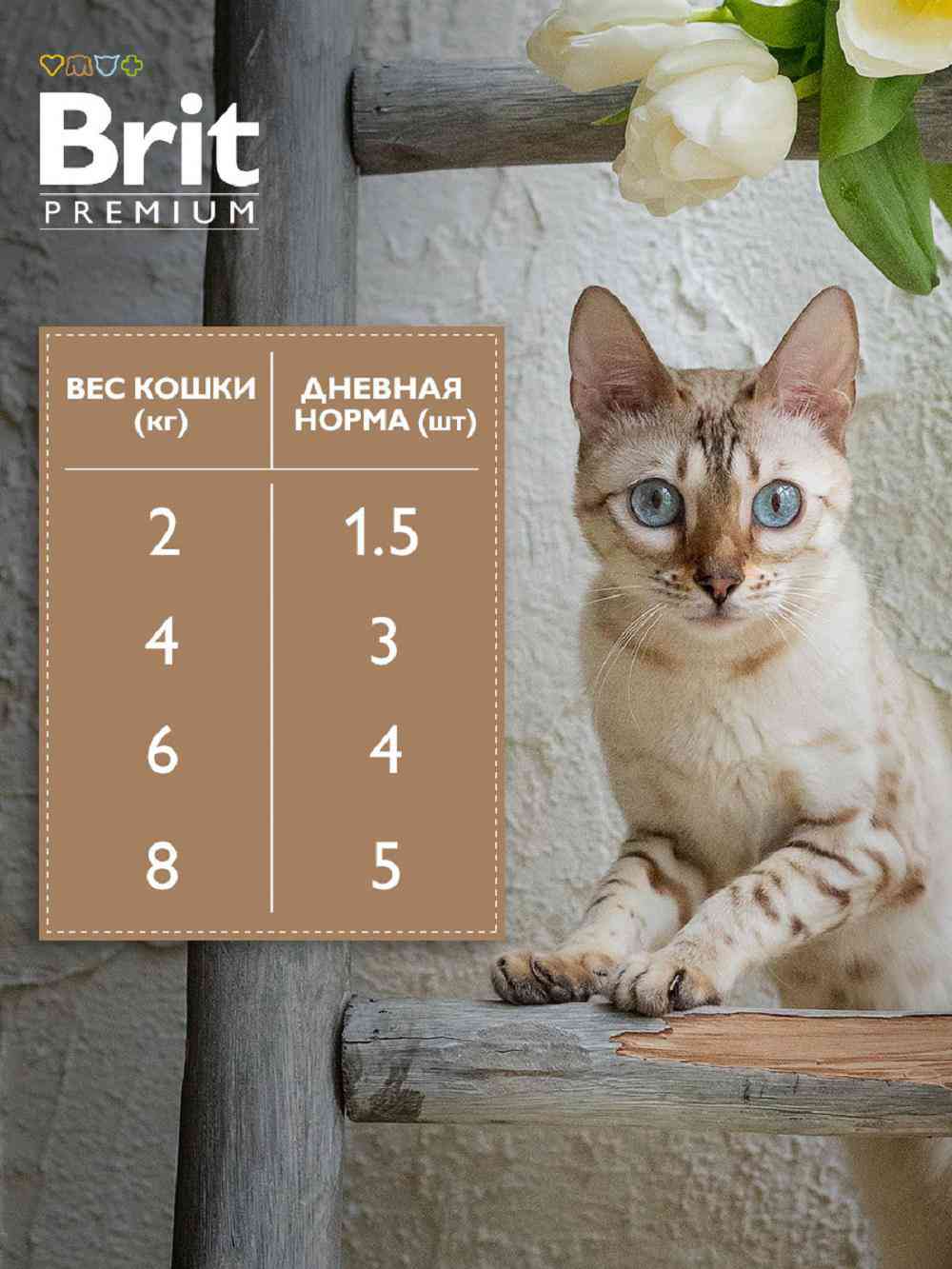 -7