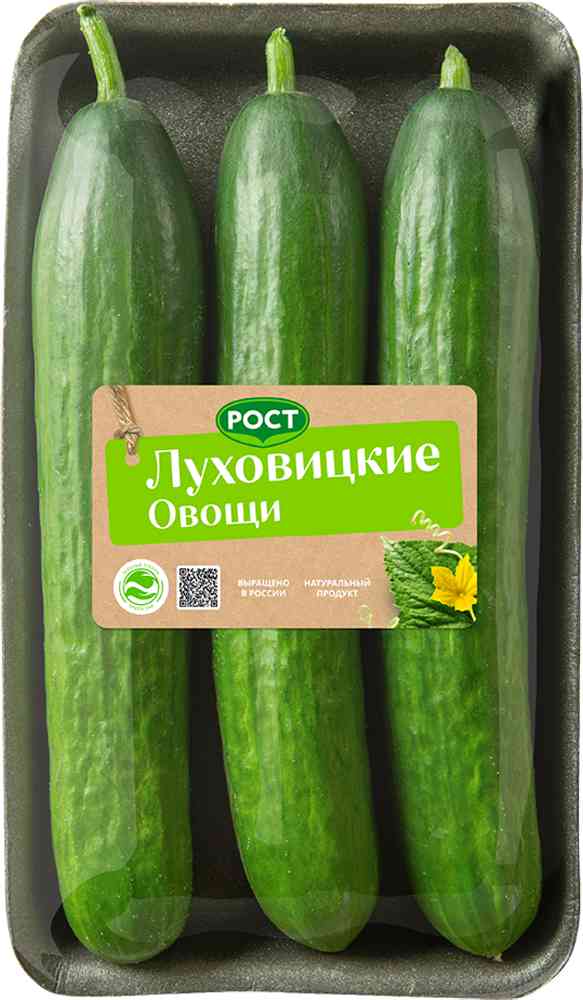 

Огурцы гладкие Луховицкие овощи Рост