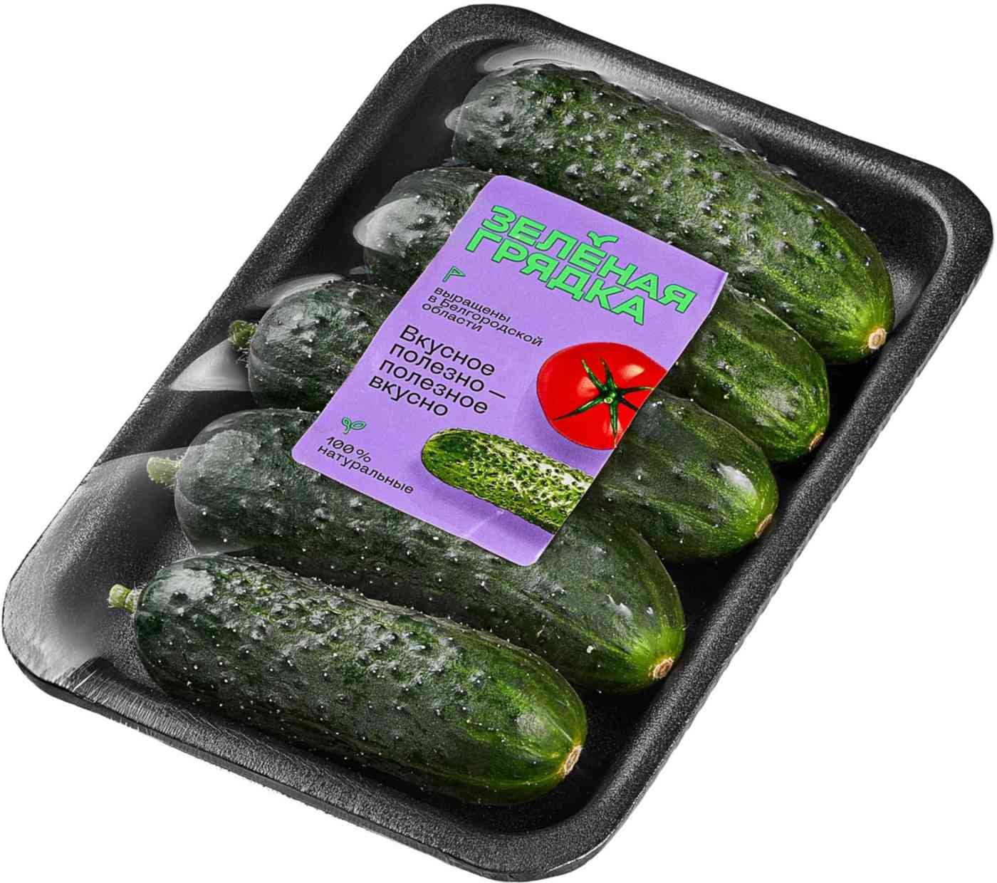 Огурец короткоплодный колючий Зеленая грядка