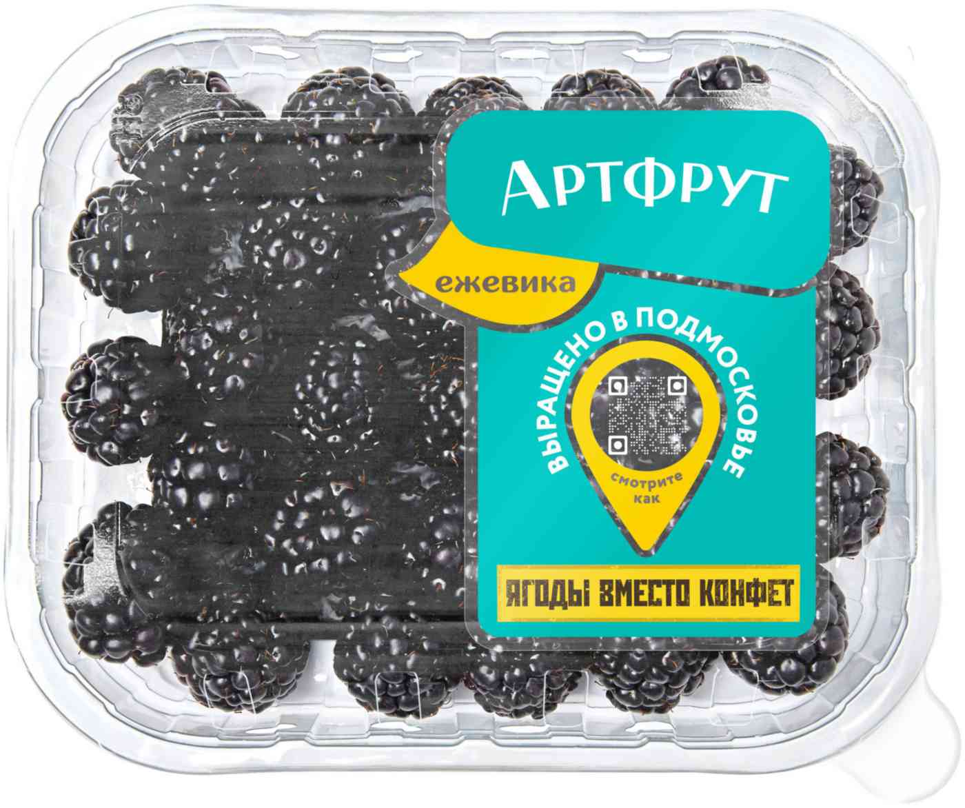 Ежевика Artfruit