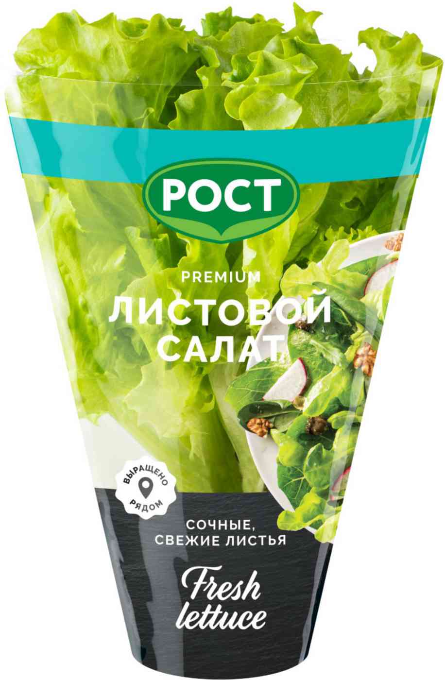 

Салат листовой в горшочке Рост