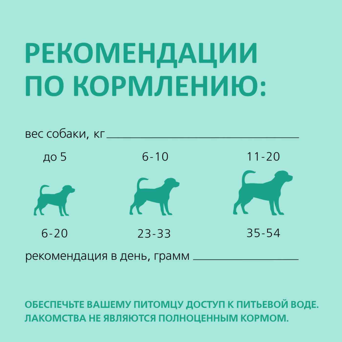 -6