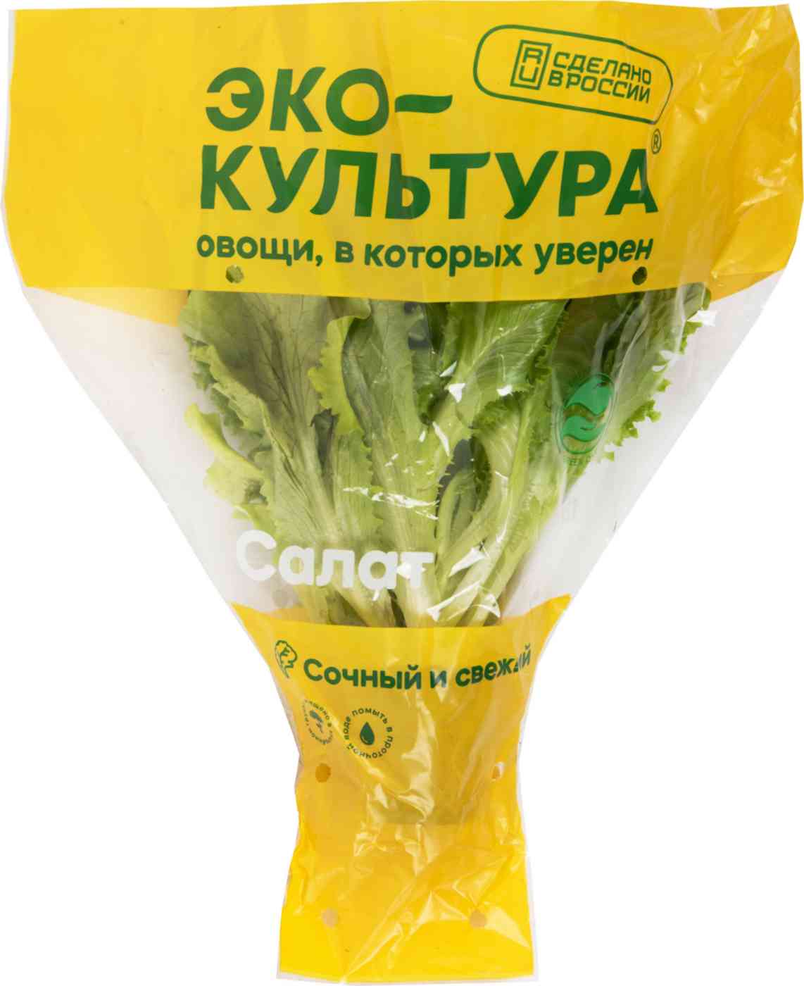 

Салат латук листовой