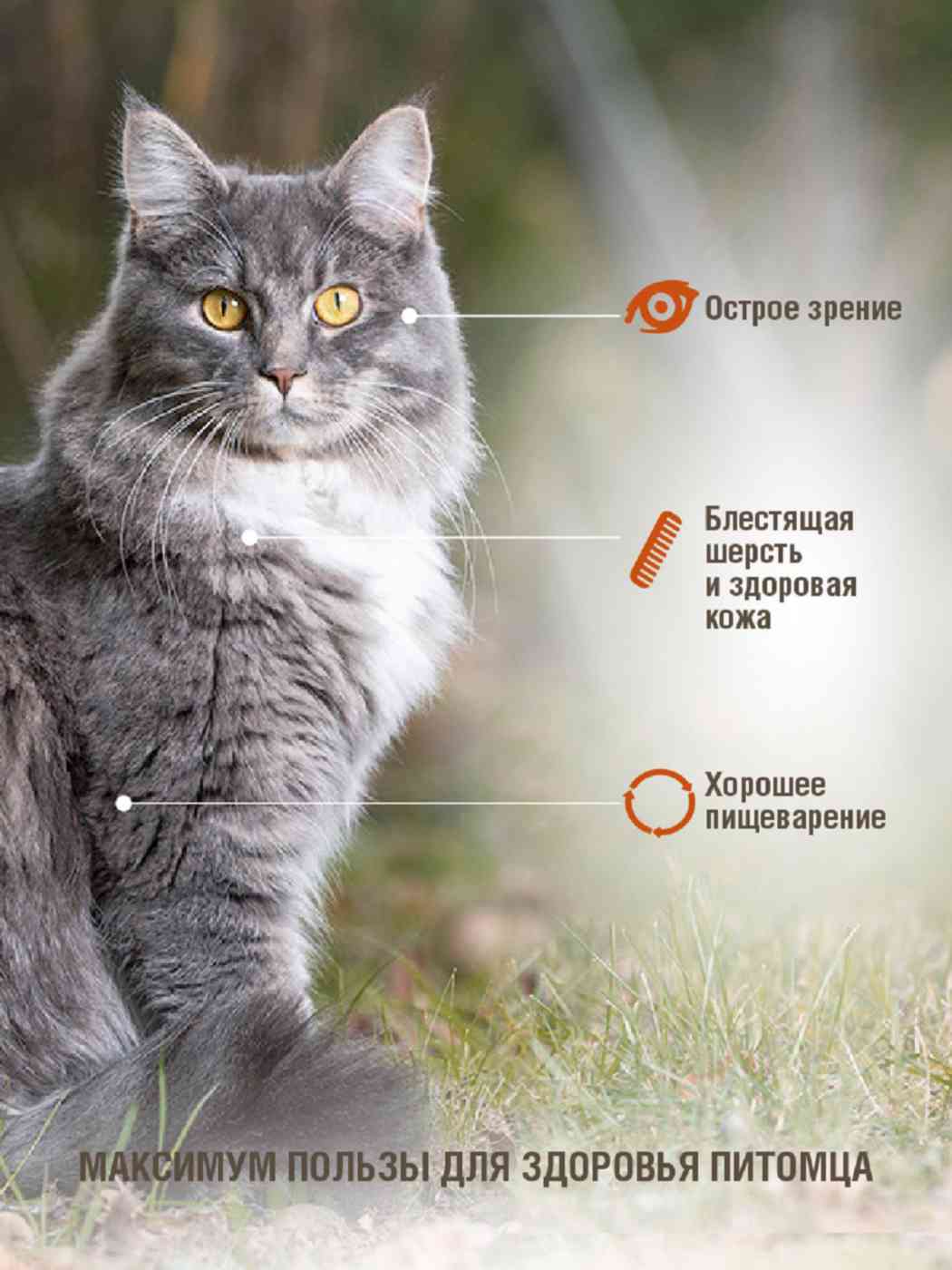 -6