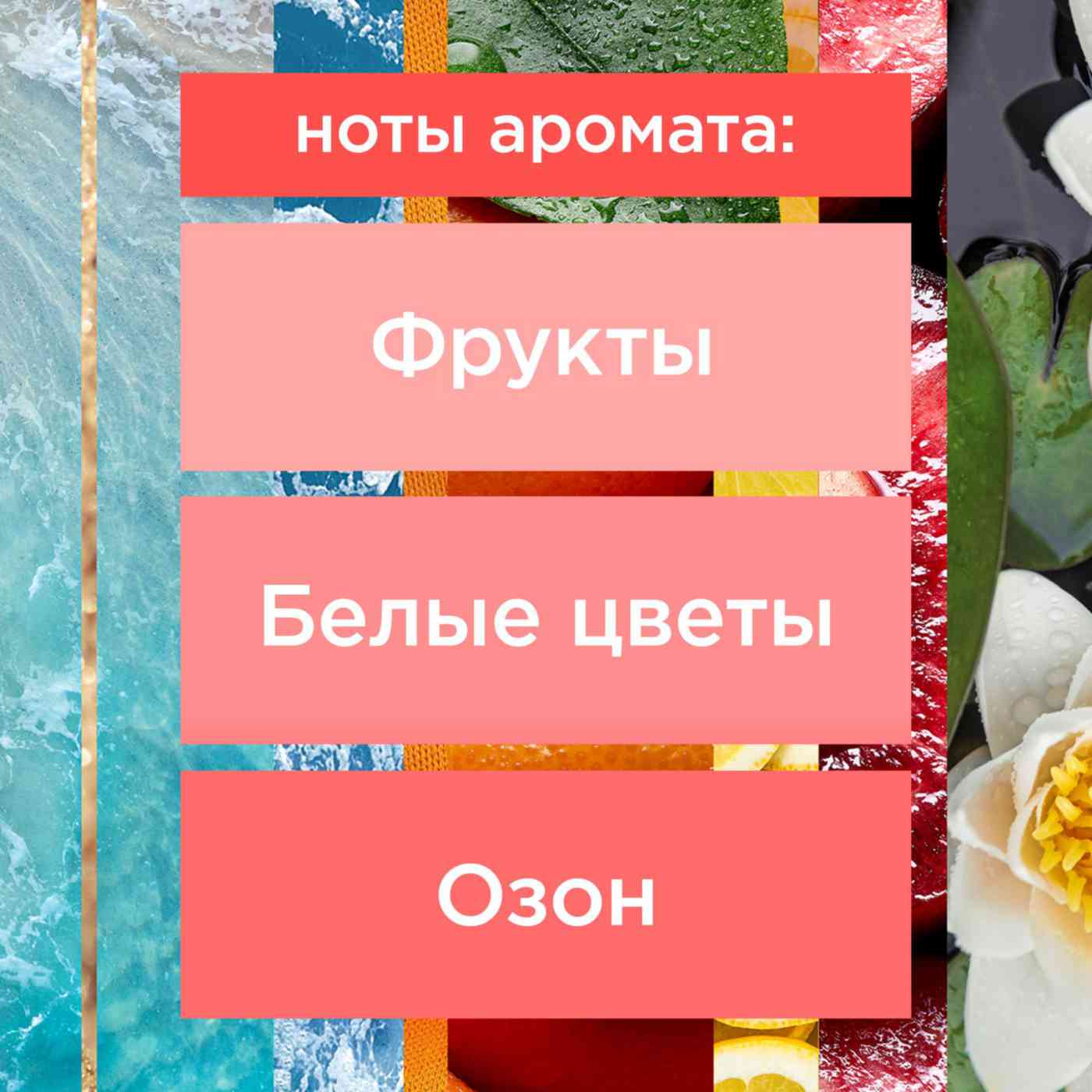 -3