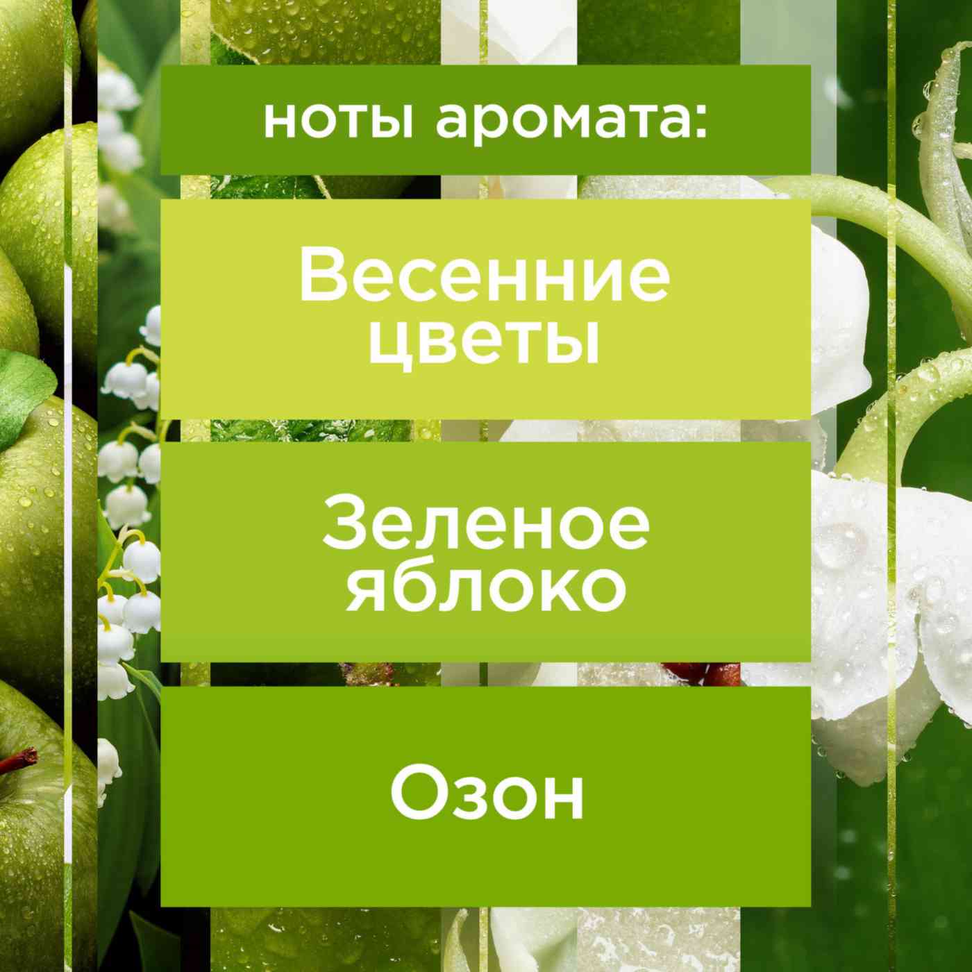 -3
