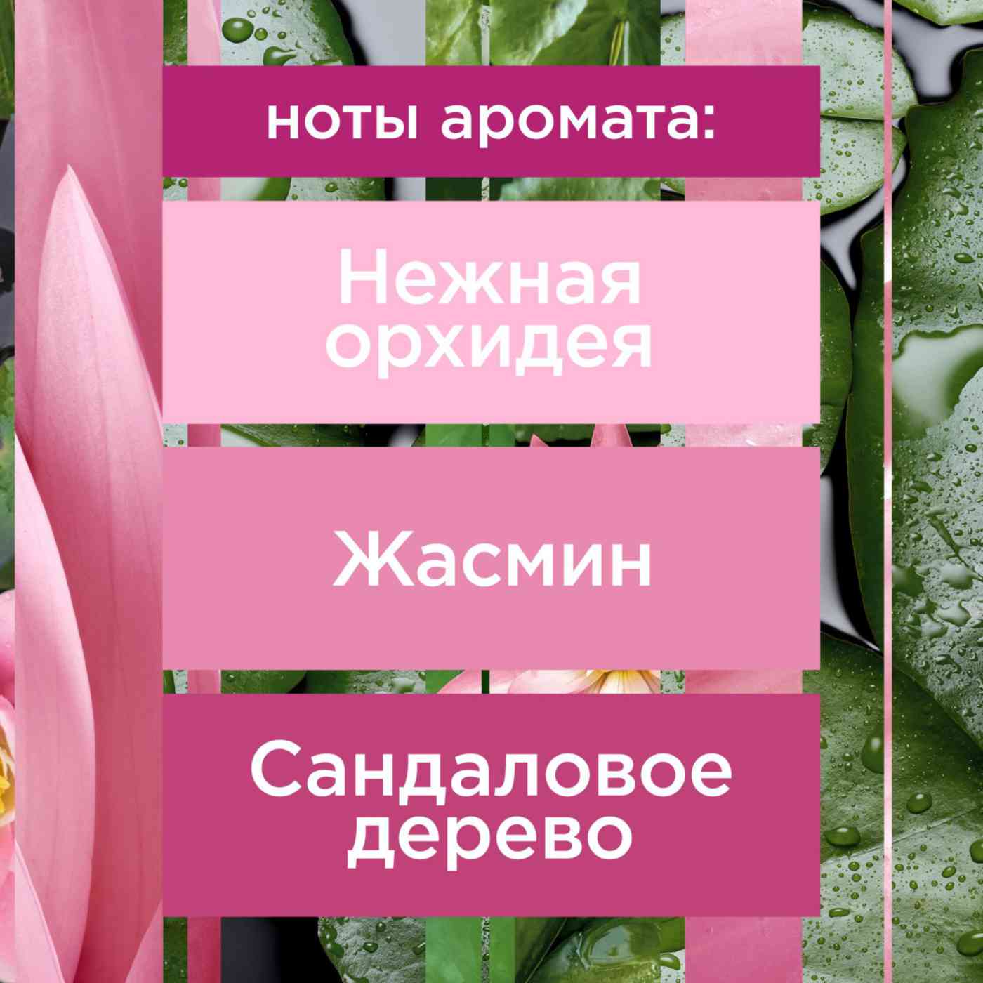 -3