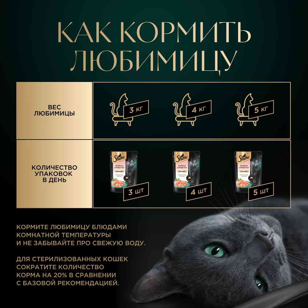 -6