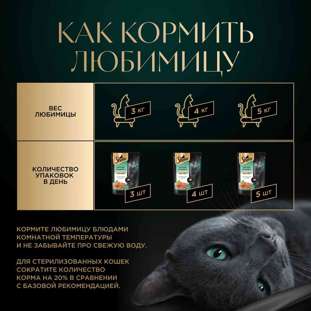 -4