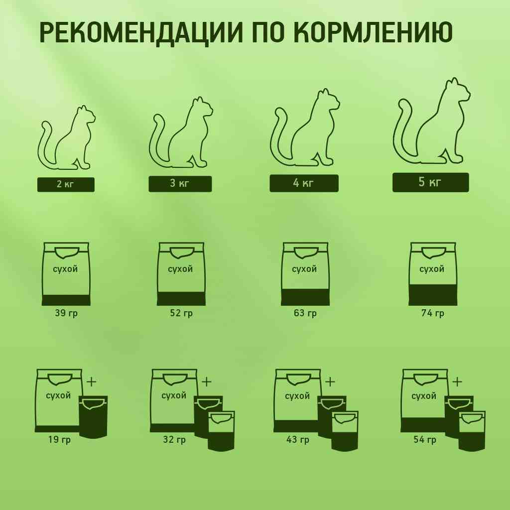 -6